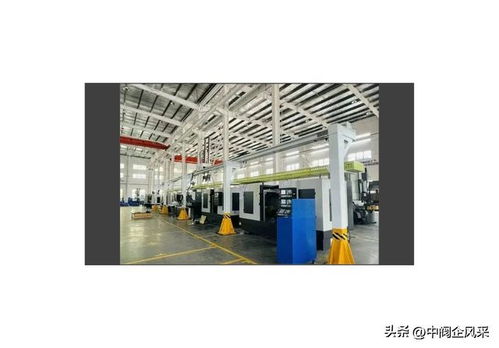 銅陵副市長(zhǎng)楊如松 市經(jīng)信局副局長(zhǎng)周金生一行赴銅陵天海流體考察
